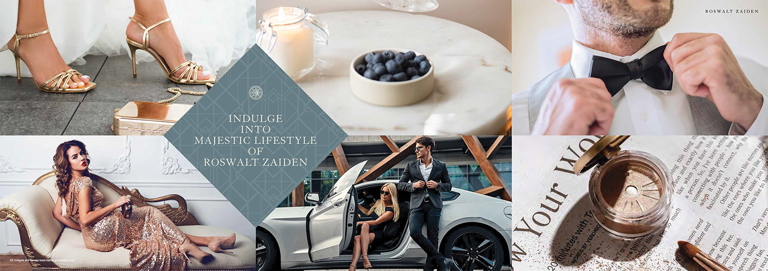 An illustration of the Roswalt Zaiden community